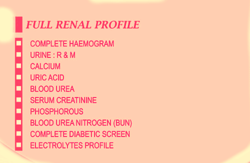 Renal profile