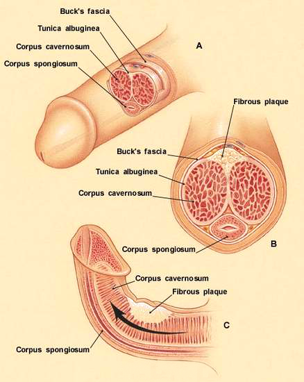 Masturbation Q 60