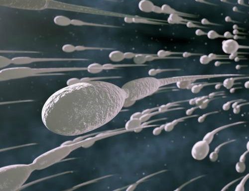 sperm-facts-cold-sperm