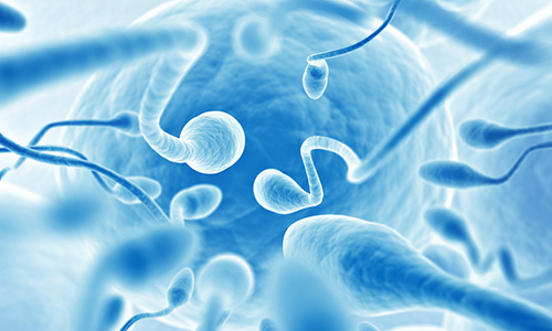 sperm-facts-semen-sperm