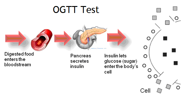 Oral Tolerance Test 78