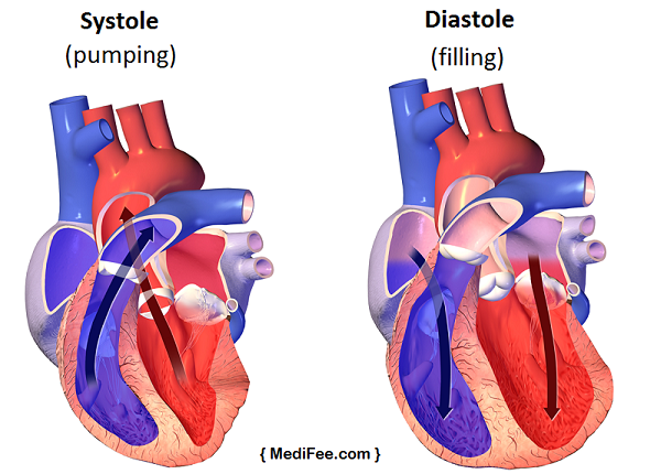 Systolic and Diastolic Pressure