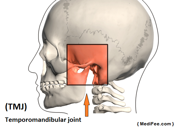 TMJ-temporomandibular-joint