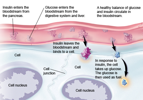 Precautions After Chemotherapy