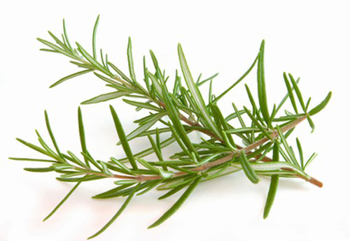 Advantages of 6 Healing Herbs for healthy Living.