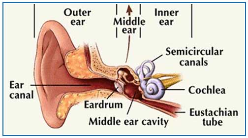 What Is The Process Of Hearing Test   U2013 Audiometry Test