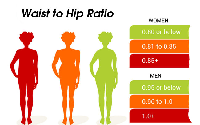 how-is-visceral-fat-measured-and-its-range