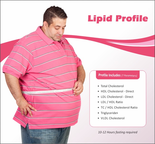 Image result for Lipid Profile